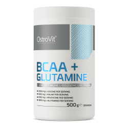 BCAA + Glutamine 500 g orange (Ostrovit)
